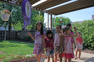 Pinata line