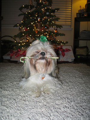 Marcella and her Christmas present 