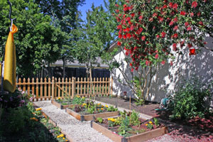 The garden