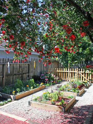The garden